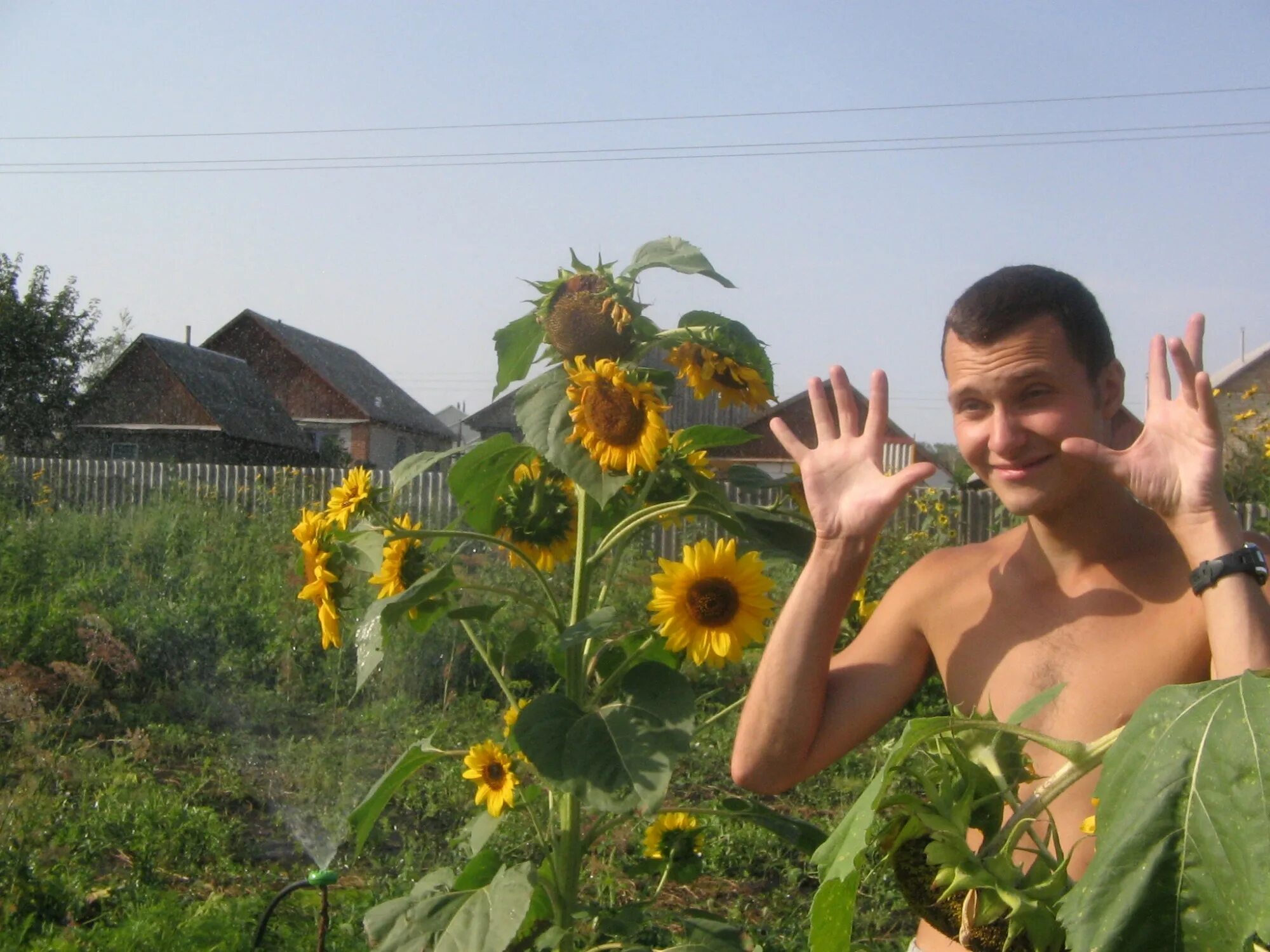 Деревня безымянное