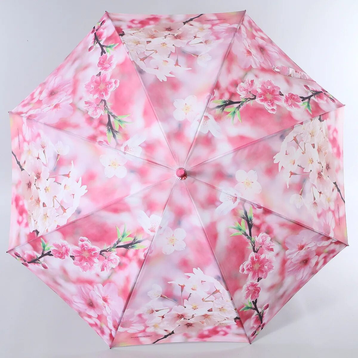 Купить зонт женский на озон. Зонт женский ЗЕСТ. Зонт ЗЕСТ Сакура розовая. Зонт Сакура автомат. Зонты Zest England.