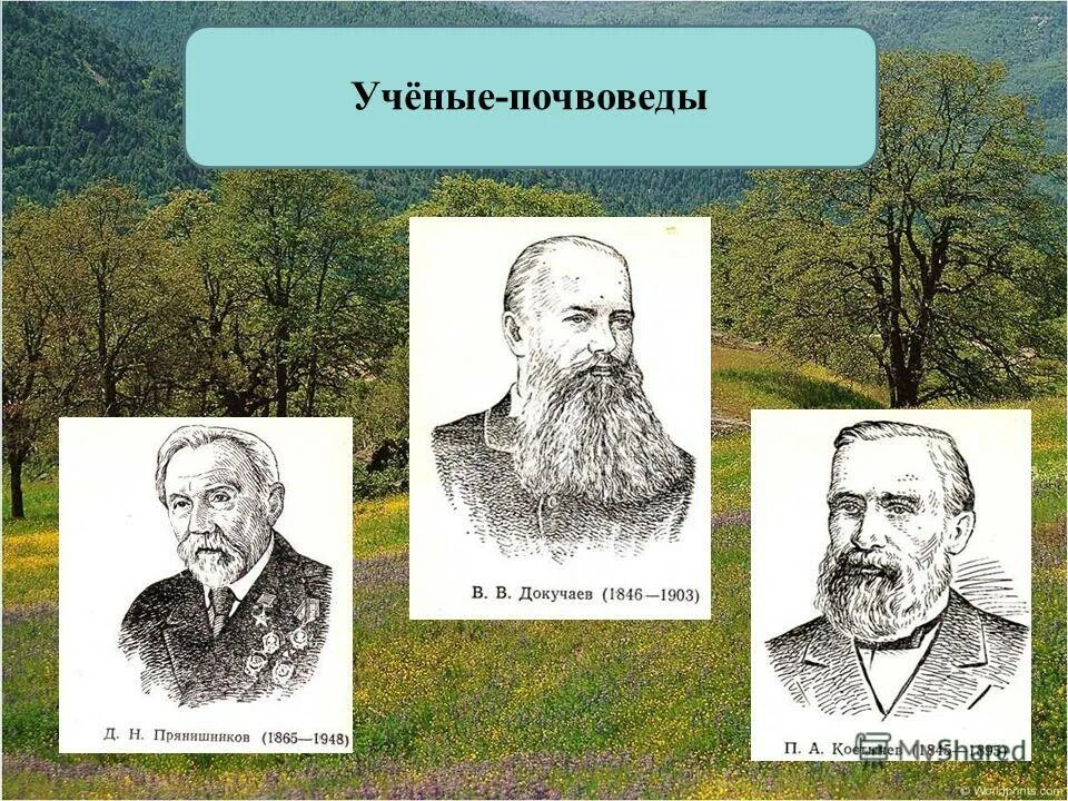 Имя великого русского ученого почвоведа. Докучаев почвовед. Ученые почвоведы России. Русский учёный почвовед. Известные ученые почвоведы.