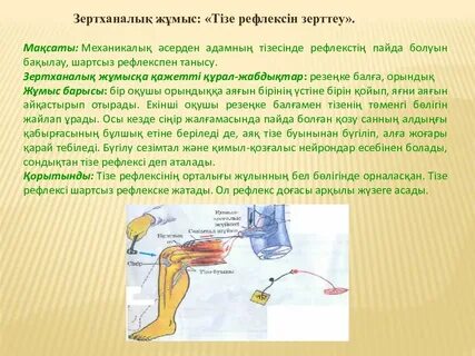 Жас порно видео