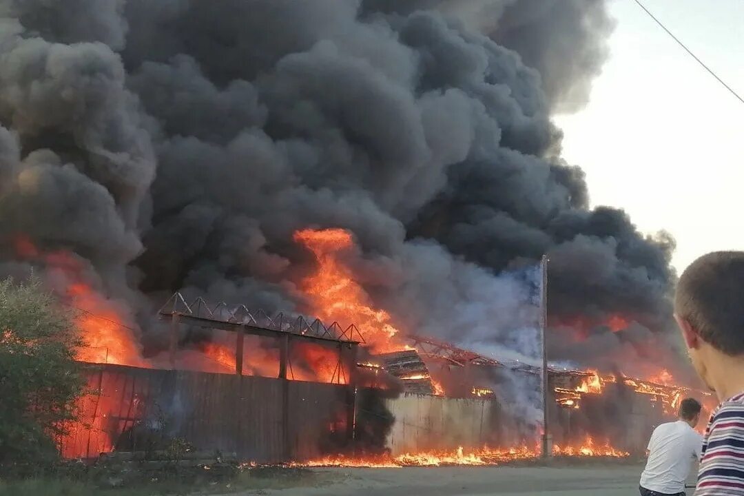 Сгорели или згорели. Пожар в Шадринске. Сегодняшний пожар в Шадринске. Пожар в Шадринске вчера. Пожар в Шадринске 7 мая 2023.