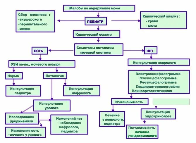 Причины недержания мочи. Обследование при энурезе. Причины недержания мочи схема. Причины ночного энуреза.