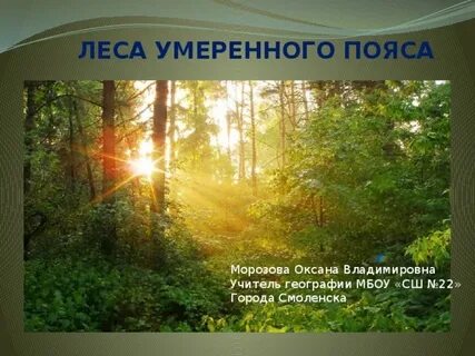 Леса умеренного пояса 8 класс