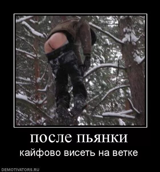 Прикольные картинки после пьянки утром Четкие приколы опубликовал пост от 16 марта 2017 в 15:26 Фотострана Пост № 13377