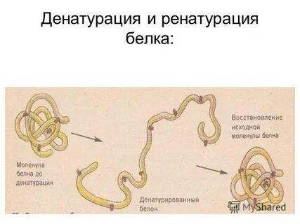 Денатурация происходит при