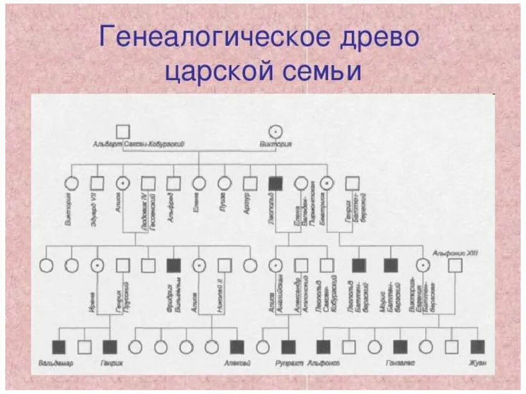 Родословная семьи биология. Составление родословной биология. Составление родословной по биологии 10 класс. Родословное Древо по биологии. Код генеалогического древа