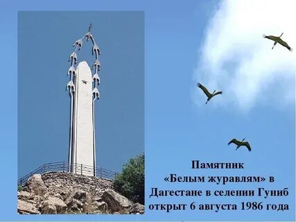 Журавли 22.03 2024