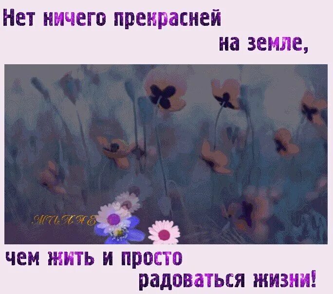 Нет по моему ничего прекраснее. Нет ничего прекрасней на земле чем просто радоваться жизни. жить просто жить. просто жить и радоваться жизни. радоваться нужно просто что живёшь.