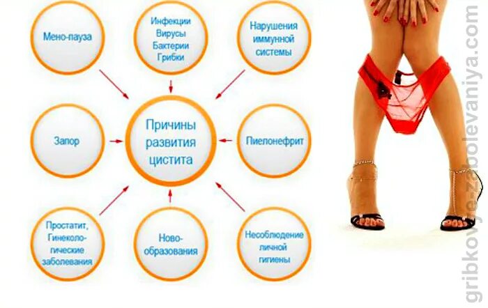 Тянет живот хочется писать