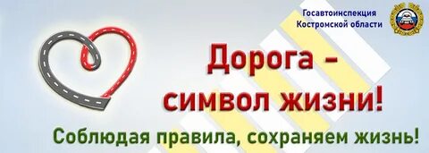 Дорога на выборы