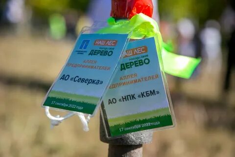 Аллея 2022
