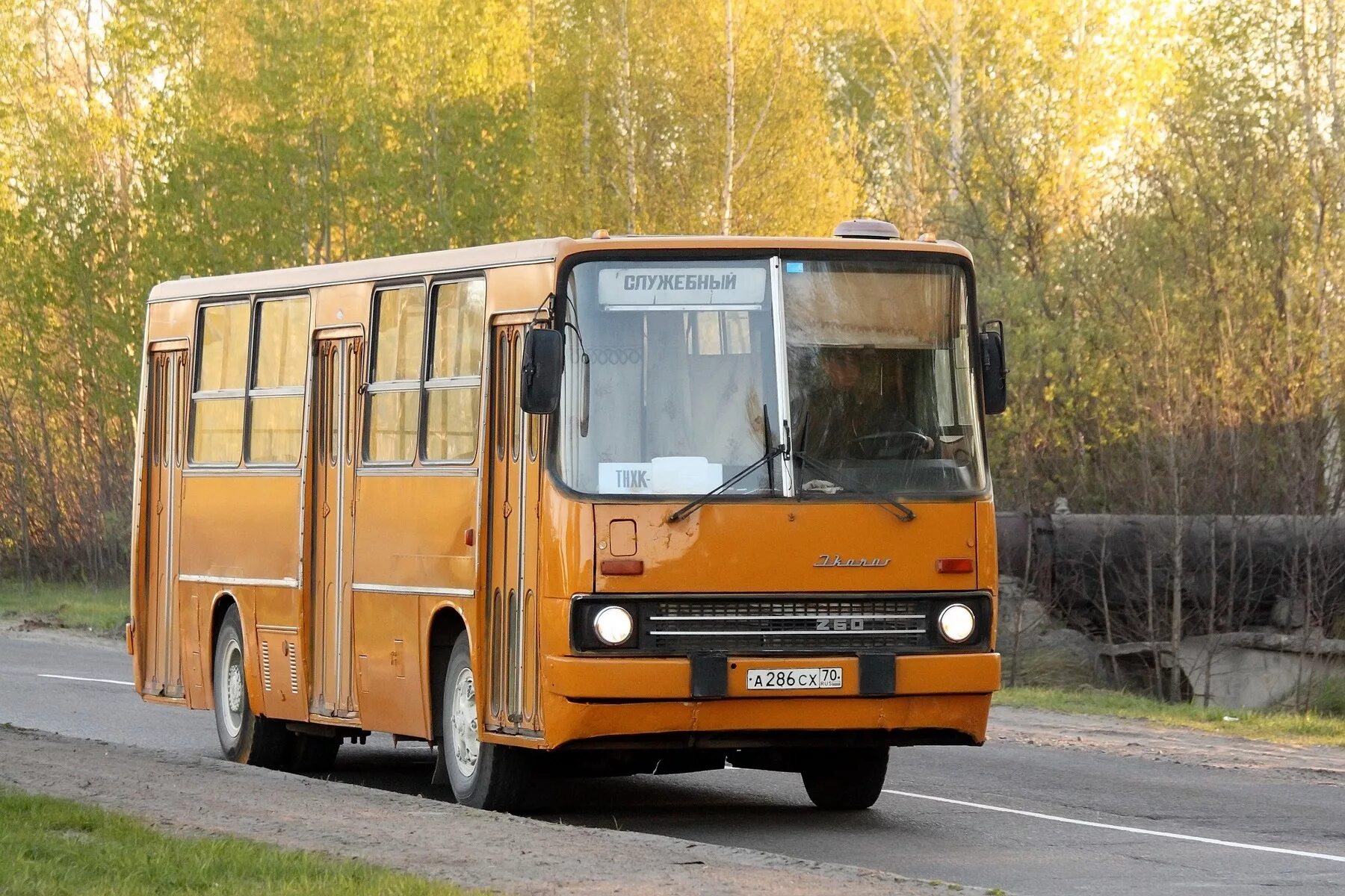 Автобус икарус 260. Икарус 260. икарус 260.50. икарус 260.00. икарус 260.57.