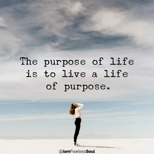 Life is a trip. Purpose in Life. My purpose in Life. Live the Life. A Life to Live Life.