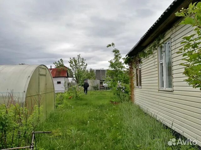 СНТ октябрь. СНТ октябрь Краснодар. СНТ октябрь Ижевск пожар. Снт октябрь ижевск