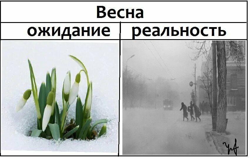 Каждую весну вот уже пятый. Весенние картинки прикольные. приколы про зиму и весну.