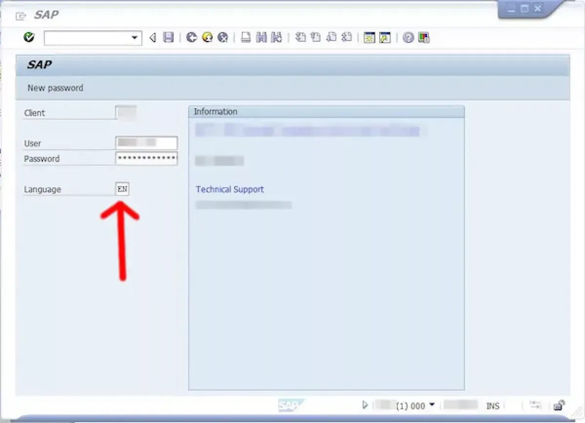 Change sap. Изменение языка в sap. как изменить язык в sap. сменить пароль в sap. sap интерфейс.