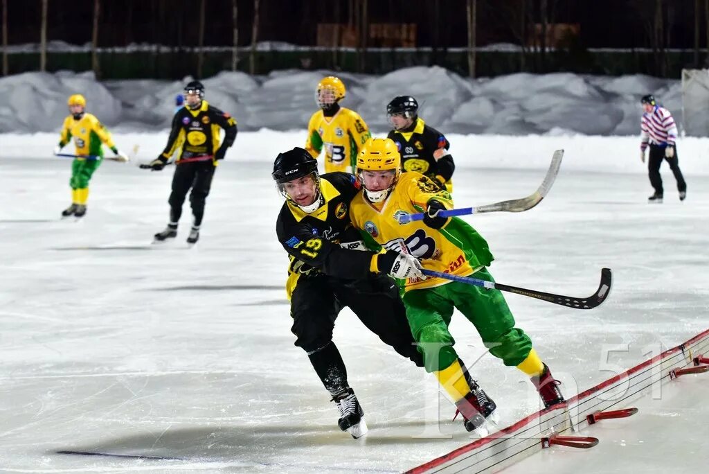 Ледовая арена арктика г. Турнир золотая шайба логотип. День хоккея. Северсталь динамо москва. Академия хоккея михайлова новомосковск.