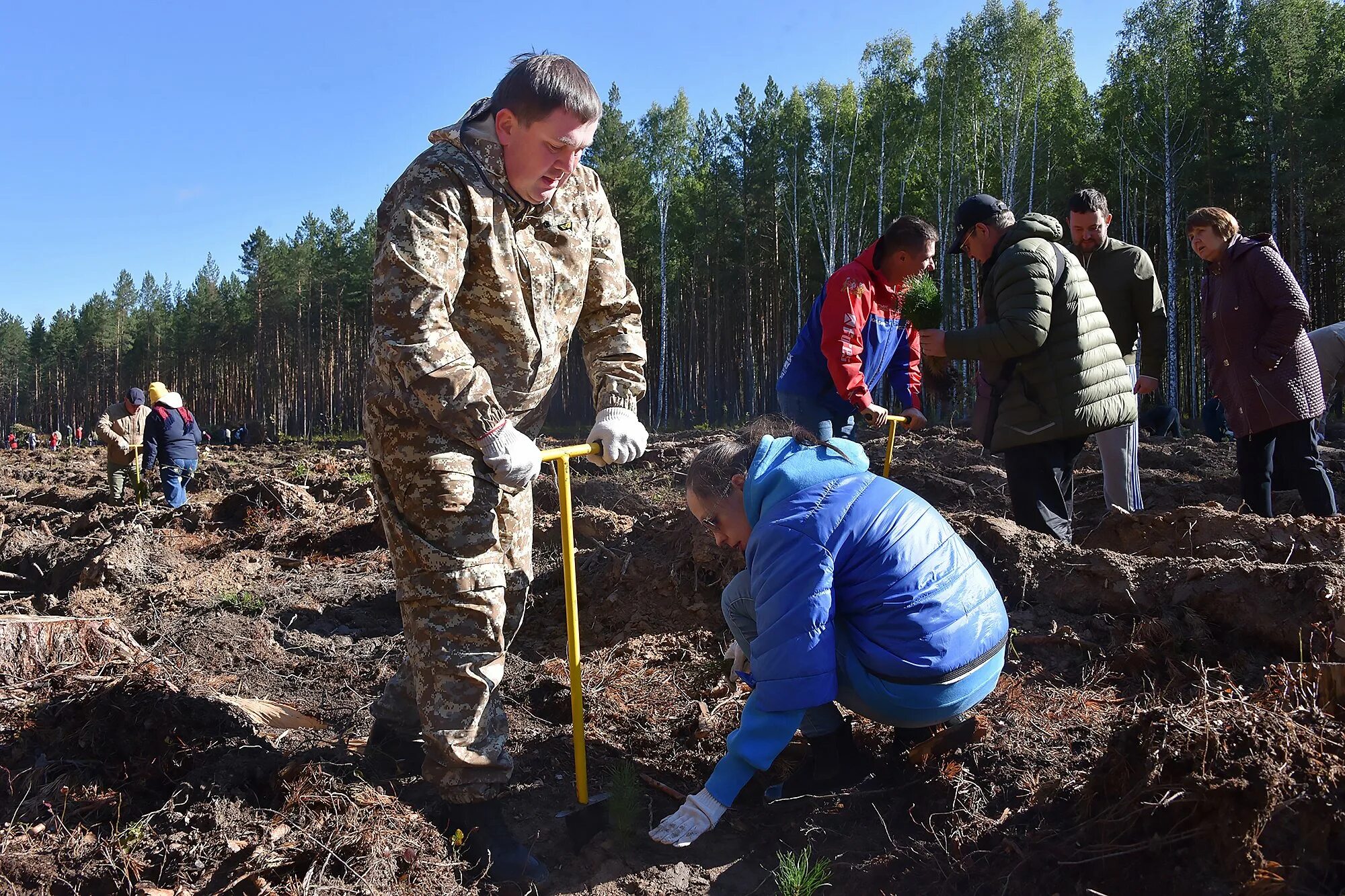 Высадка деревьев фото. Учащиеся сажают деревья. Губернатор Челябинской области посадка леса 2018. Посадка деревьев в городе. Включи а 4 посади