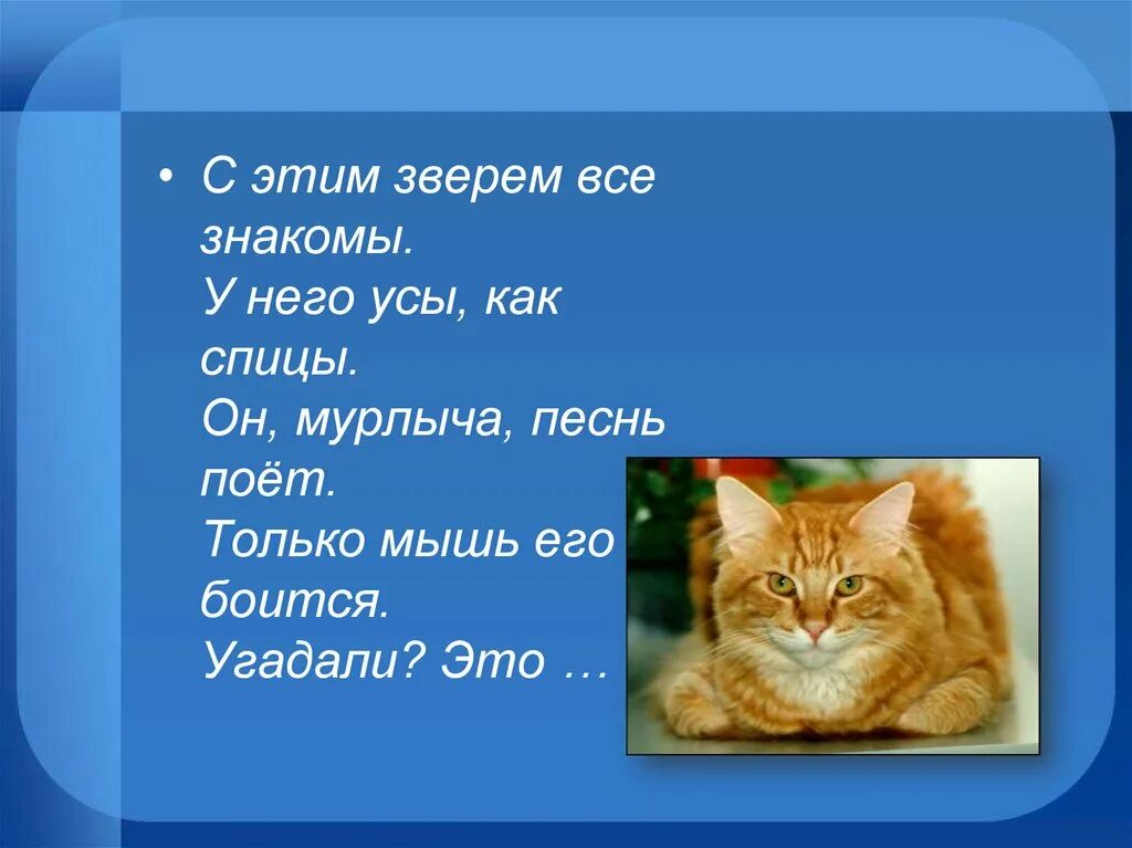 План к рассказу кот ворюга Паустовский 3 класс. План кот ворюга Паустовский 3 класс. План по рассказу кот ворюга Паустовский 3 класс. План к рассказу кот ворюга Паустовский 3. Кот ворюга тест с ответами 3 класс