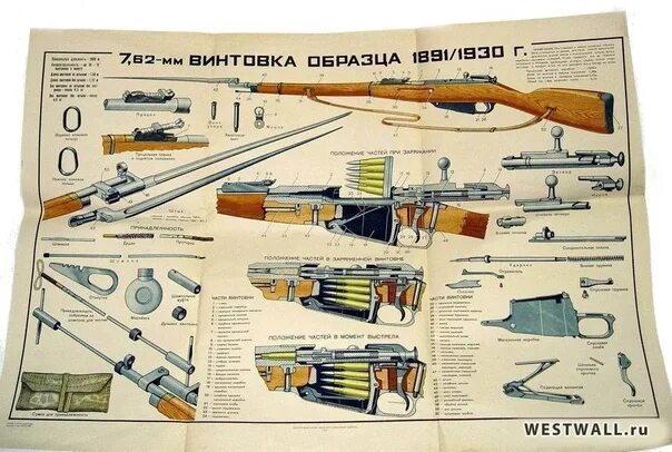 Охолощенная винтовка Мосина ВПО 922 (СХП, Молот Оружие) купить в Москве и СПБ, ц