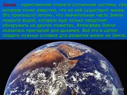 Земля единственная планета на которой есть жизнь