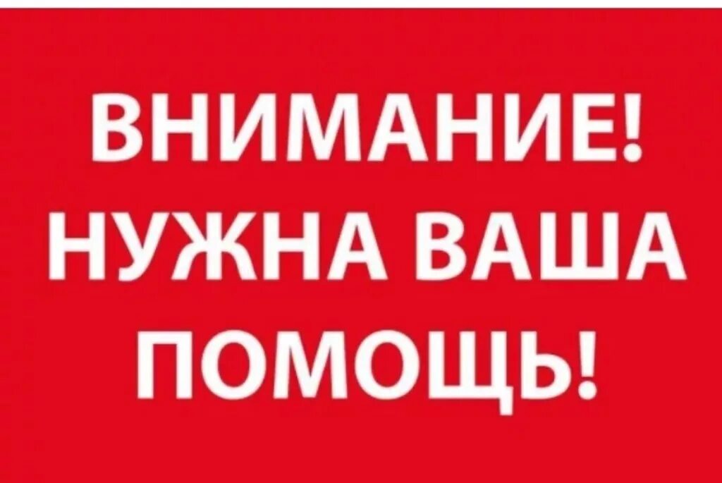 Прошу вашему вниманию. Нужна ваша помощь. Внимание нужна помощь. Требуется помощь. Внимание нужна ваша помощь.