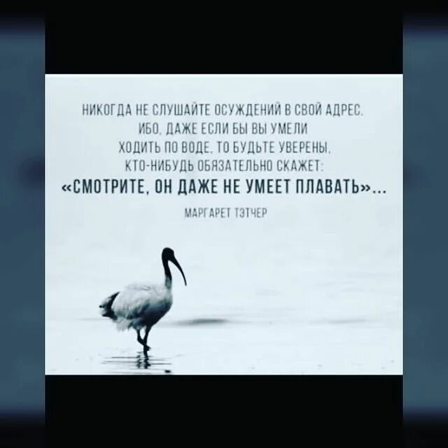 мужской коллектив. чувство вины. осуждение слушать. никогда не слушайте осуждений в свой адрес ибо даже если бы вы умели. страх ответственности.