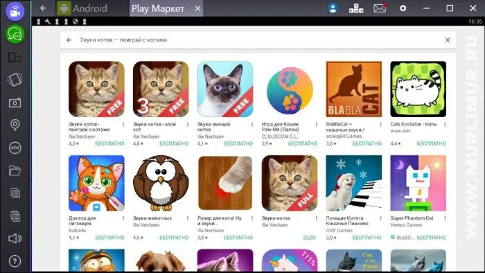 Приложение для котиков