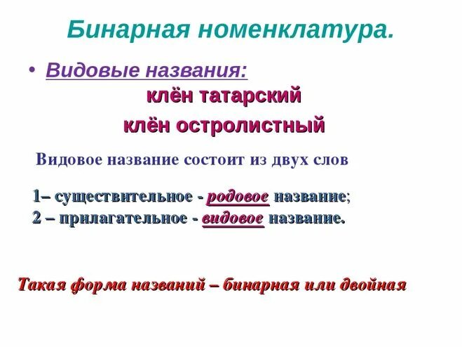 Почему научные названия. Бинарная номенклатура это в биологии. Родовое и видовое название. Двойная номенклатура. Родовое и видовое название растений.