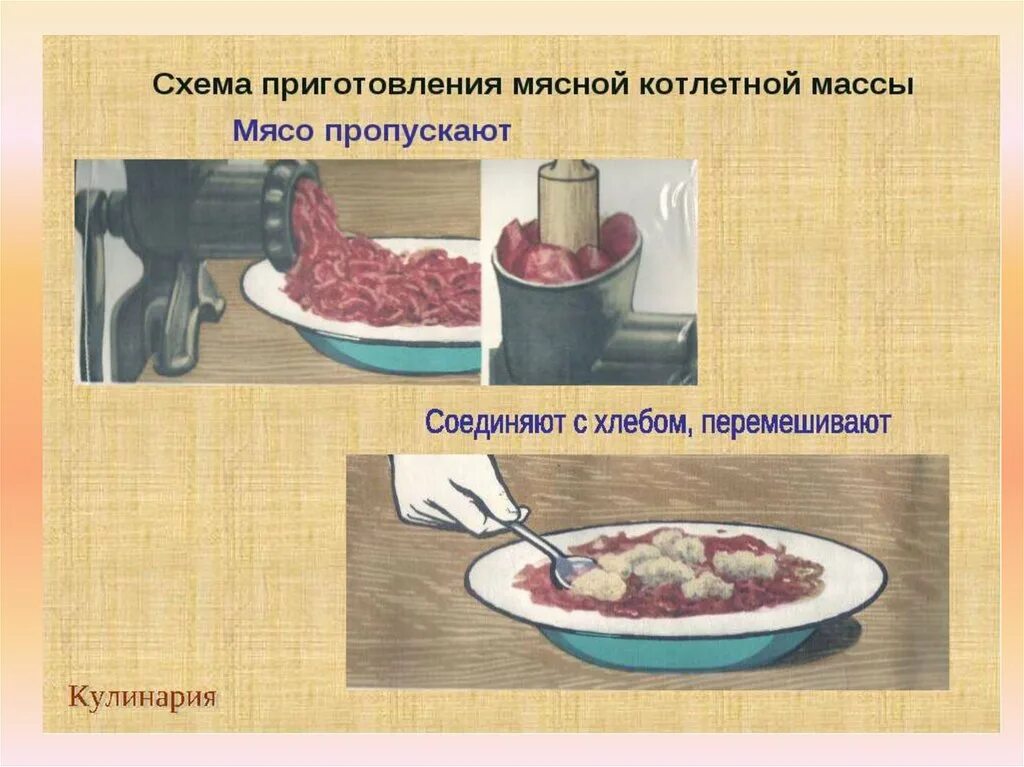 Технология приготовления рубленной и котлетной массы. Блюда из котлетная масса полуфабрикатов из мяса. Технология приготовления мясной рубленой массы. Приготовление мясной котлетной массы.