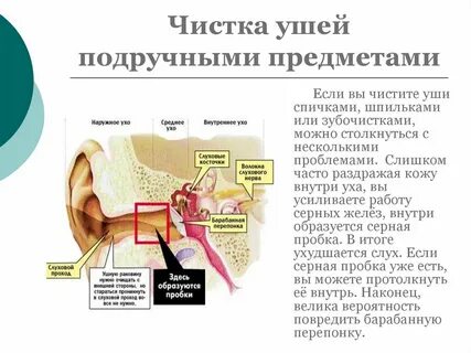 Чем можно протирать уши