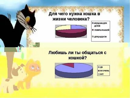 Зачем нужны кошки