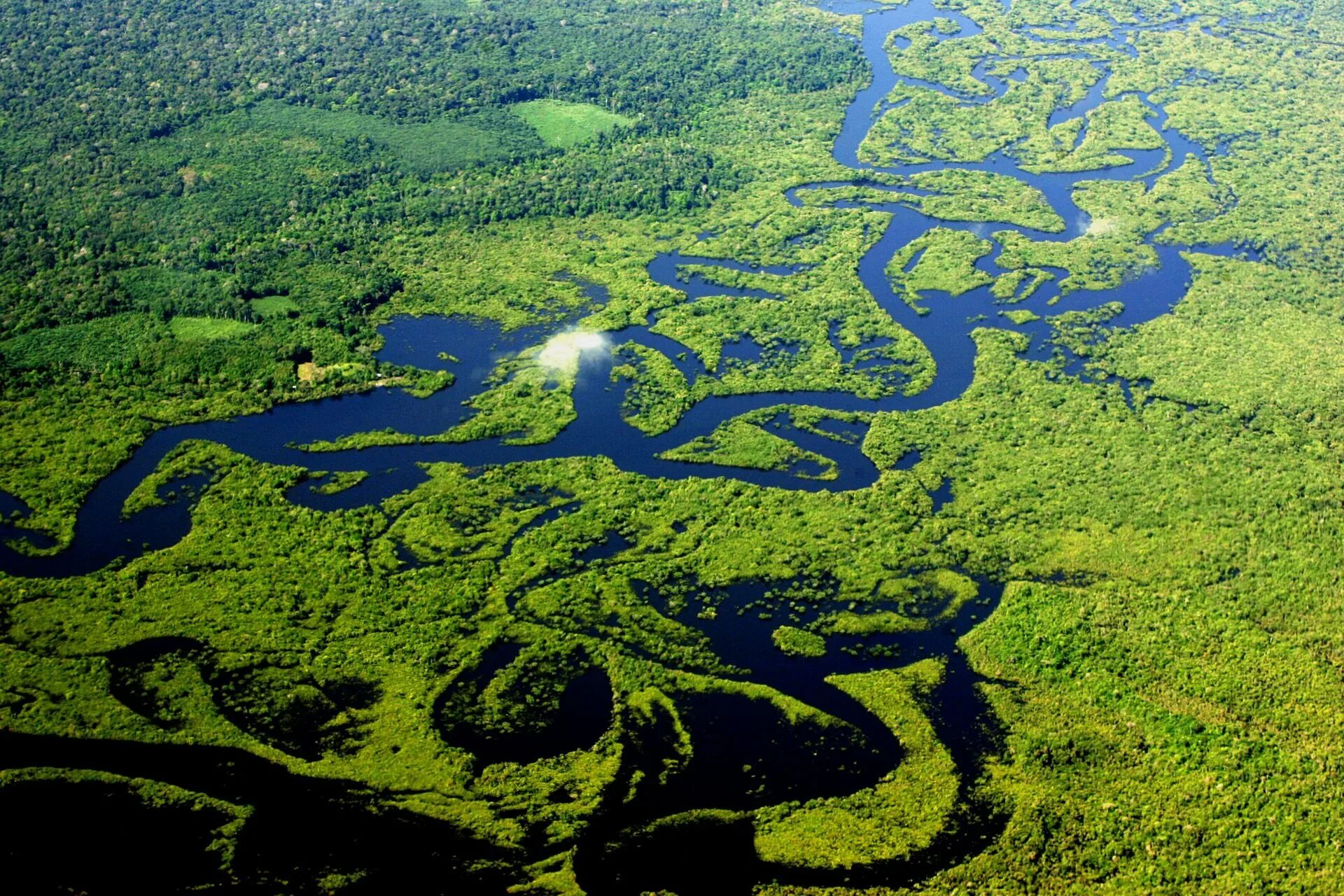 Самая теплая река в мире. Амазония река Амазонка. Бассейн реки Амазонка. Южная Америка бассейн амазонки. Амазонка река Укаяли.