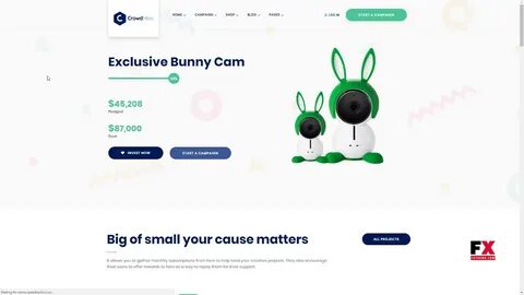Webcam bunny