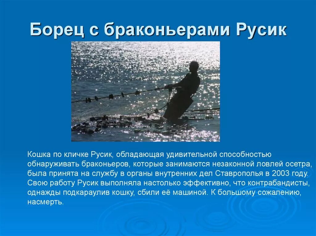 Обладает удивительной способностью