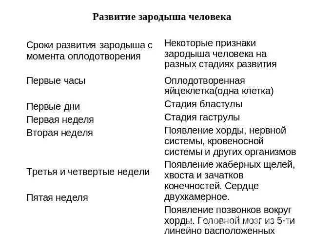 Признаки животных у зародыша человека