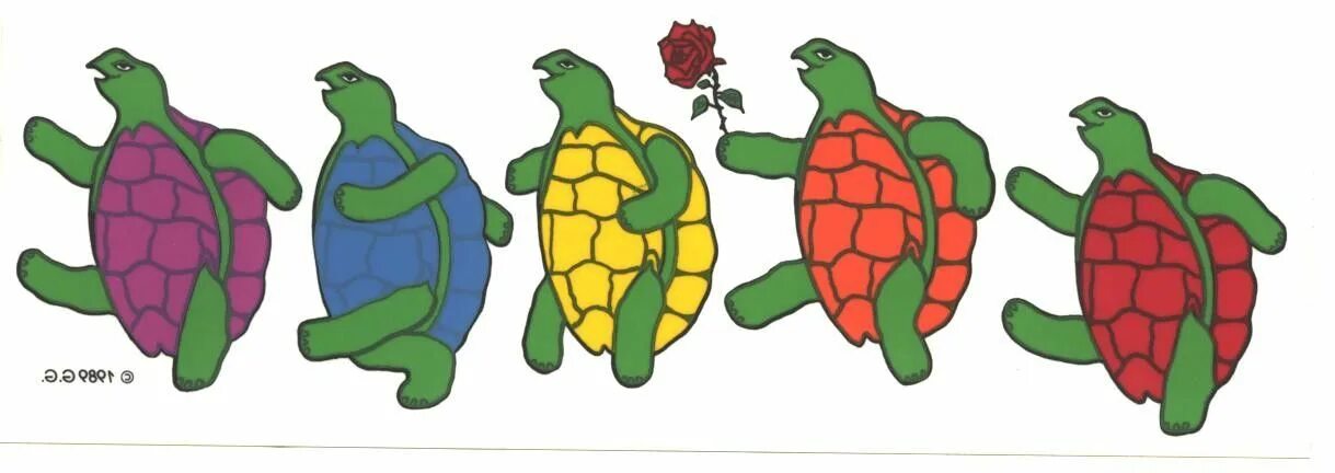 Turtle random это модули. Грейтфул дед черепашки. grateful dead черепахи. черепаха танцует. dancing turtle пуховик.