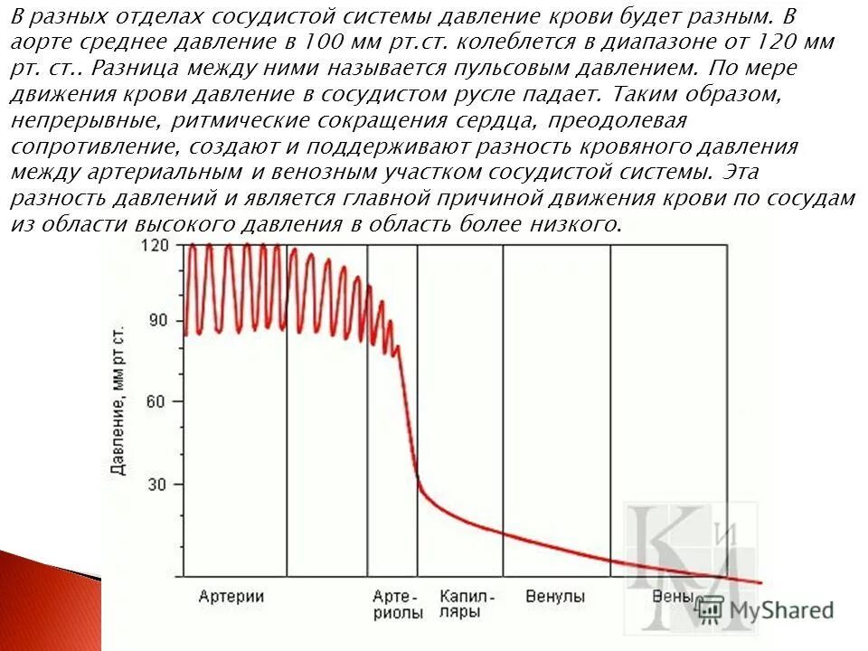 Смертность при расслоении аорты. Кривая изменения артериального давления. Кратковременное повышение артериального давления. Давление динамика. Среднее давление в аорте.