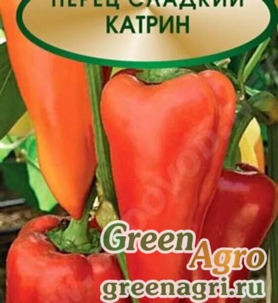 Sweet katrin. Sweet katrin