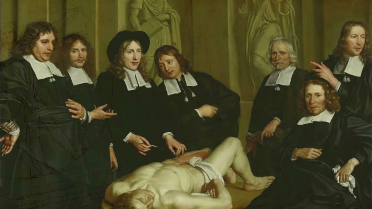Рюйш анатом. Фредерик Рюйш нидерландский врач. Анатомический театр 17 века. Профессор анатомии.