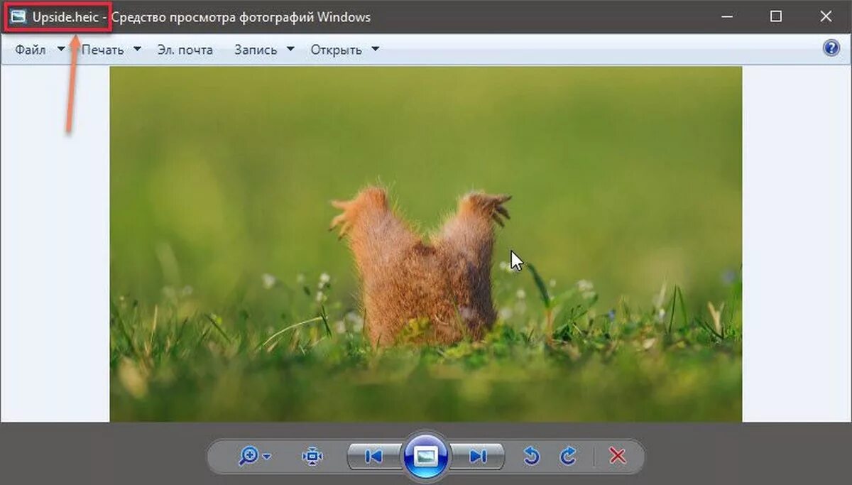 Файл HEIC. Изображение в формате HEIC. HEIC расширение файла. Как открыть HEIC. Heic в jpg без потери качества