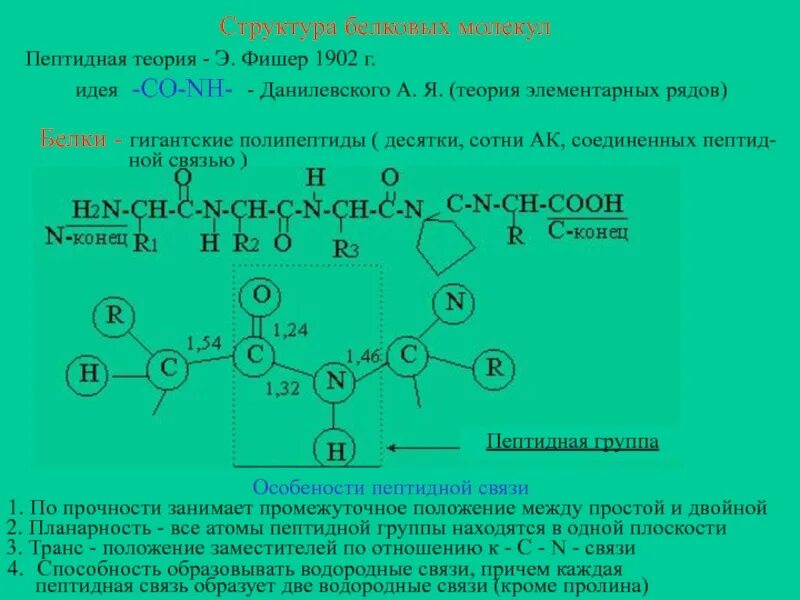 Образование пептидных связей структура белка. Структура пептидной связи. Пептидная теория строения белков. Белок структура. Пептидная связь структура белка.