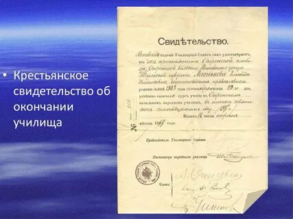 Свидетельство пту