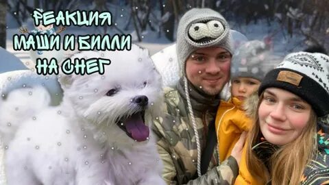 Ляпота family