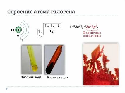 Строение атомов галогенов