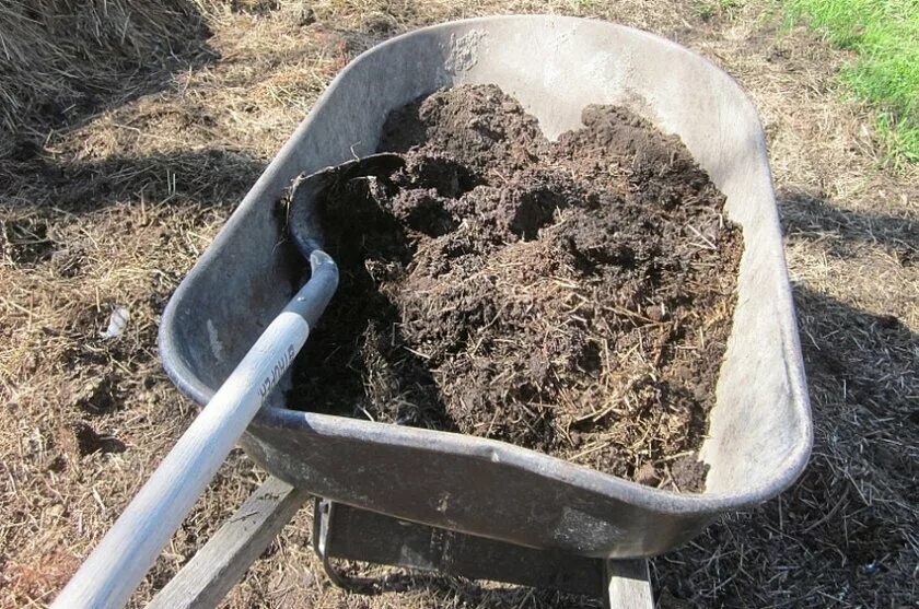 Чем подкормить землю весной перед посадкой. Навоз коровяк (органическое удобрение). Навоз, перегной, компост. Перегной для огорода. Компостный перегной.