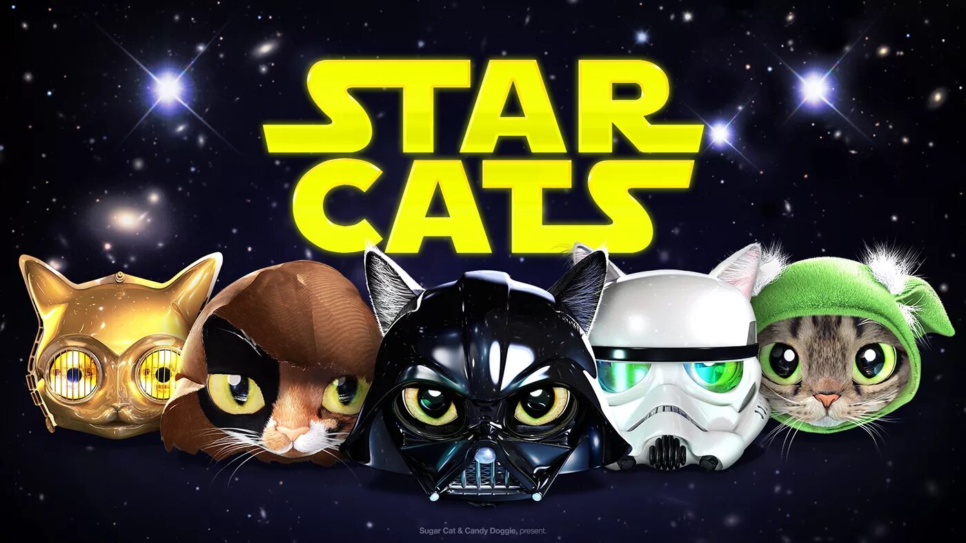 Звездные коты. Котики Star Wars. Кошки в Звездных войнах. Звёздные войны коты арт. Cat stars игра