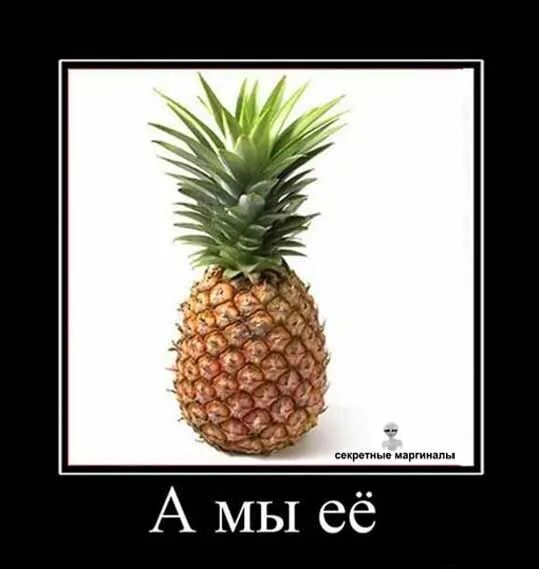 Нет времени объяснять в ананас. Шутки про ананас. смешной ананас. ананас прикол. ананас а мы ее.