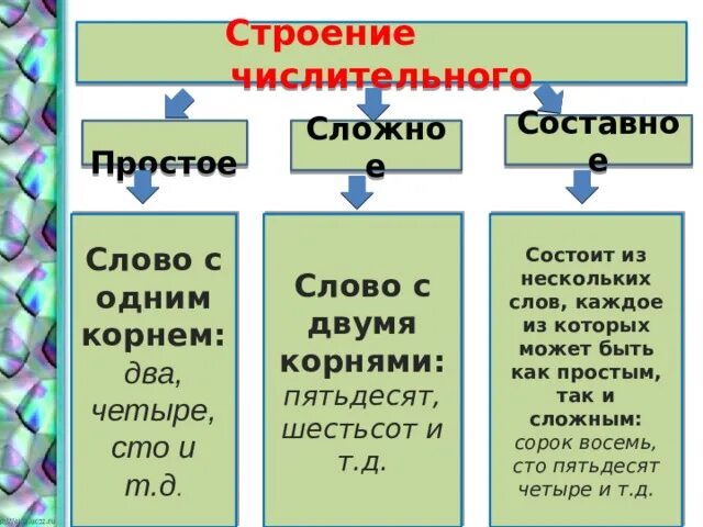 Имена числительные делятся на 2 группы. Сложные и составные числительные. Строение числительного. Строение числительных. Простые сложные и составные числительные.