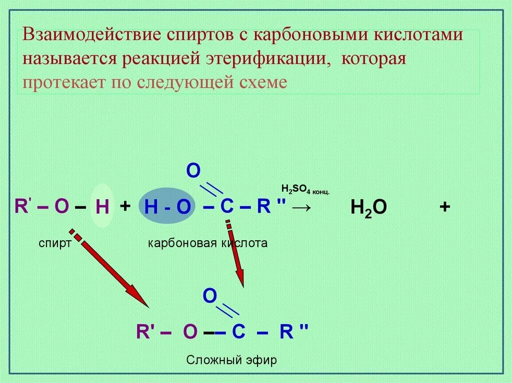 Реакция карбоновых кислот со спиртами называется